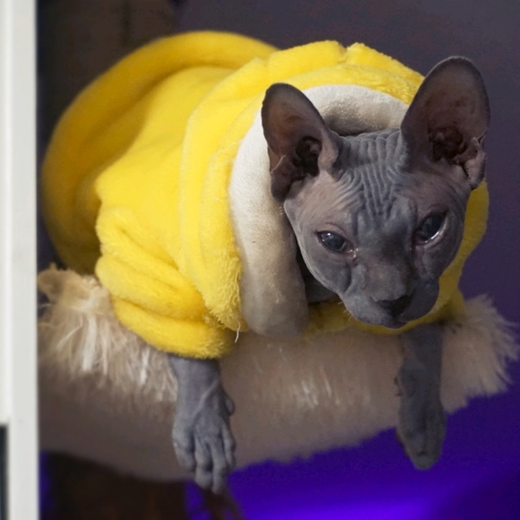 Meet your Posher, Nevyn - Picture 5 of 6